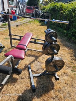 Bench Press With Weights And Barbell +Weight Three