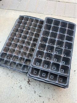 Seedlings starter tray / all of them