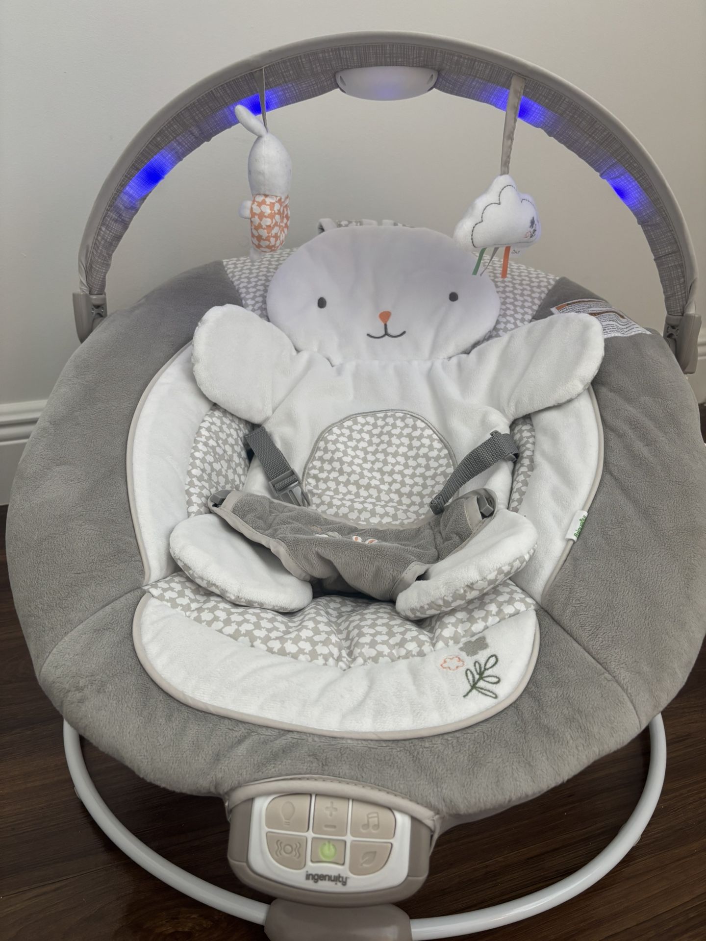 Baby Swing