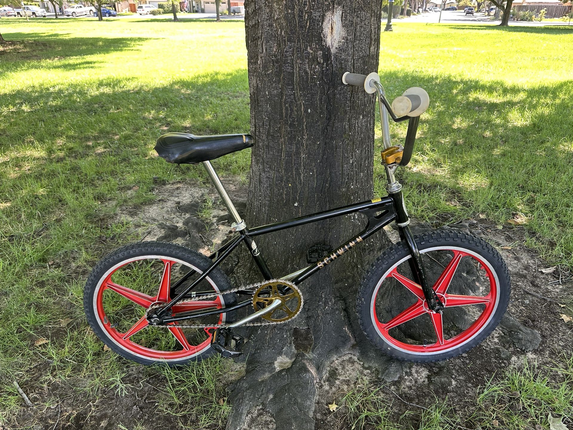 1983 Schwinn thrasher Bmx 20 inch