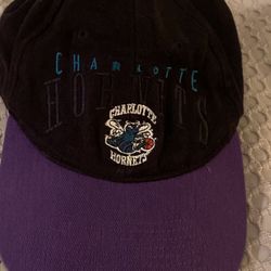 Charlotte hornets hat one size fits all