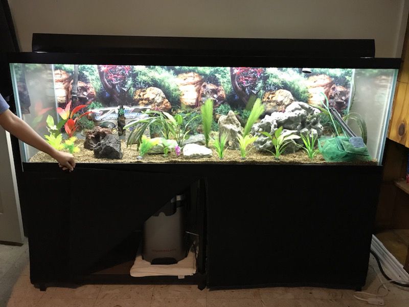 125 Gallon Fish Aquarium Setup (Fish Tank)