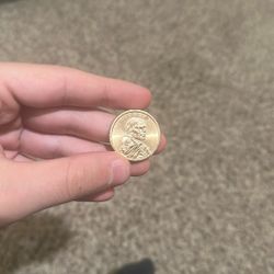 1 Dollar Coin