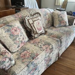 Couch Pet Free 
