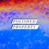 PolishedProperty