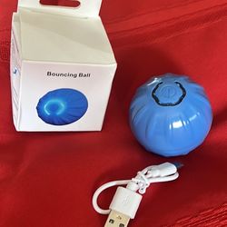 $9 Dog Toy- Interactive Rolling Ball