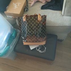 Louie Vuitton clear tote purse