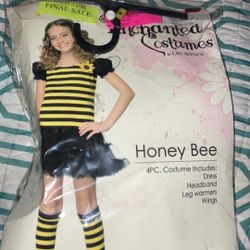 Girls Bee Costume