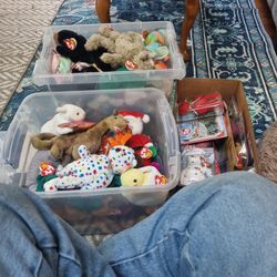 Beanie Babies