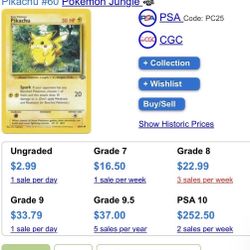 PIKACHU Pokémon Shingle #60