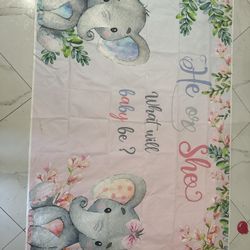 Gender Reveal Banner 