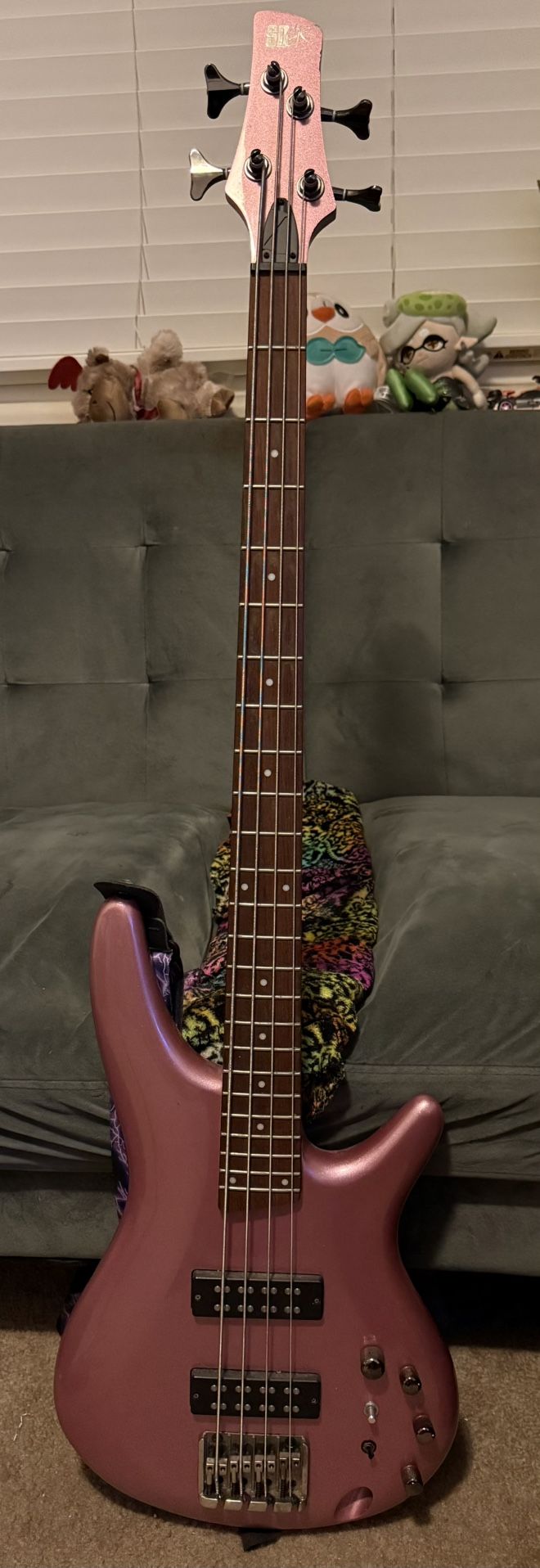 Ibanez Bass Guitar & Amp