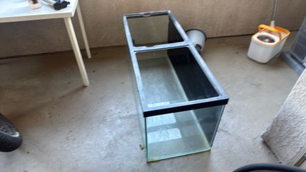 80 gallon aquarium