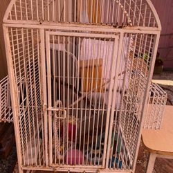 Bird Cage