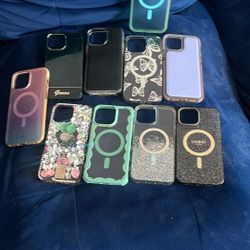iPhone 13 Pro Max Cases
