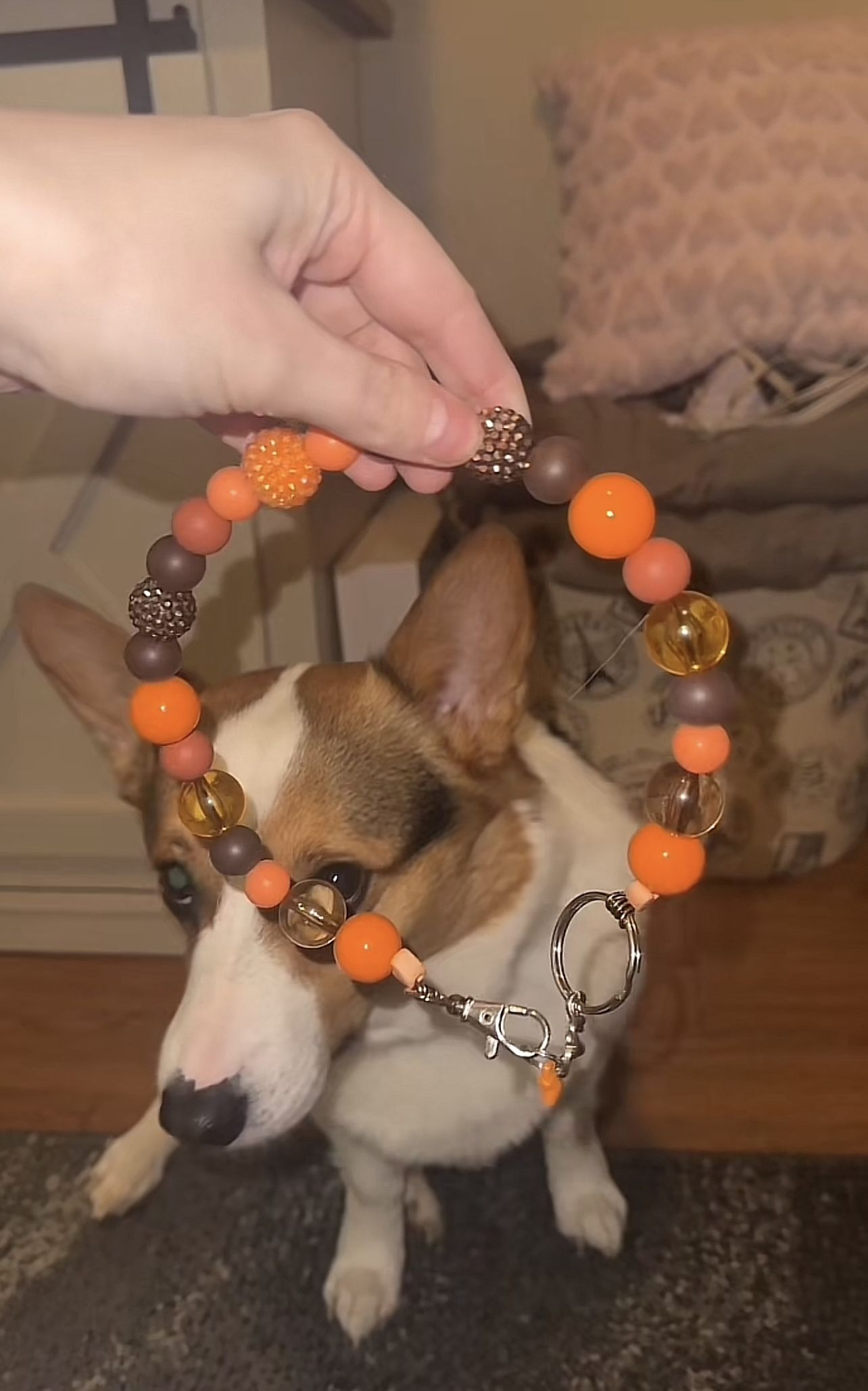 Dogs & Cats Custom Collars 