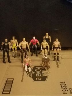 Group Of WWE superstars