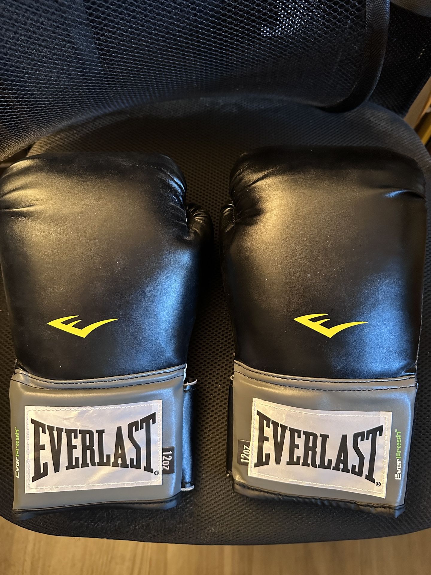 Boxing Gloves Everlast Pro Style