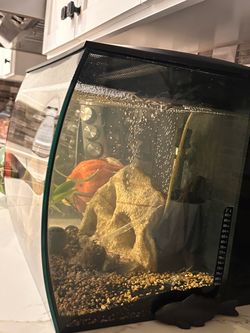 Fish Tank Fluval