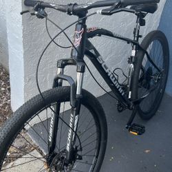 Schwinn Tuff Size 29
