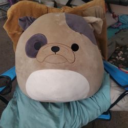 Dog Squashmellow