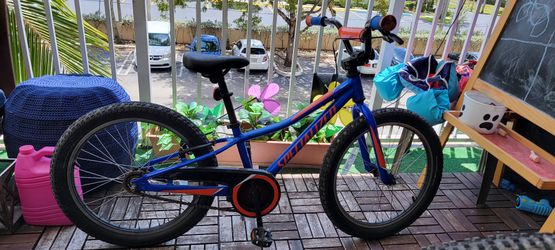 Specialized Kids