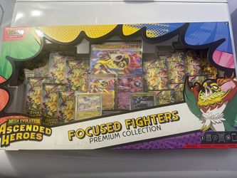 Ascended heroes focused fighters