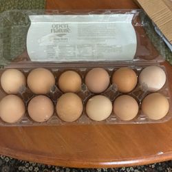 Fresh Eggs 