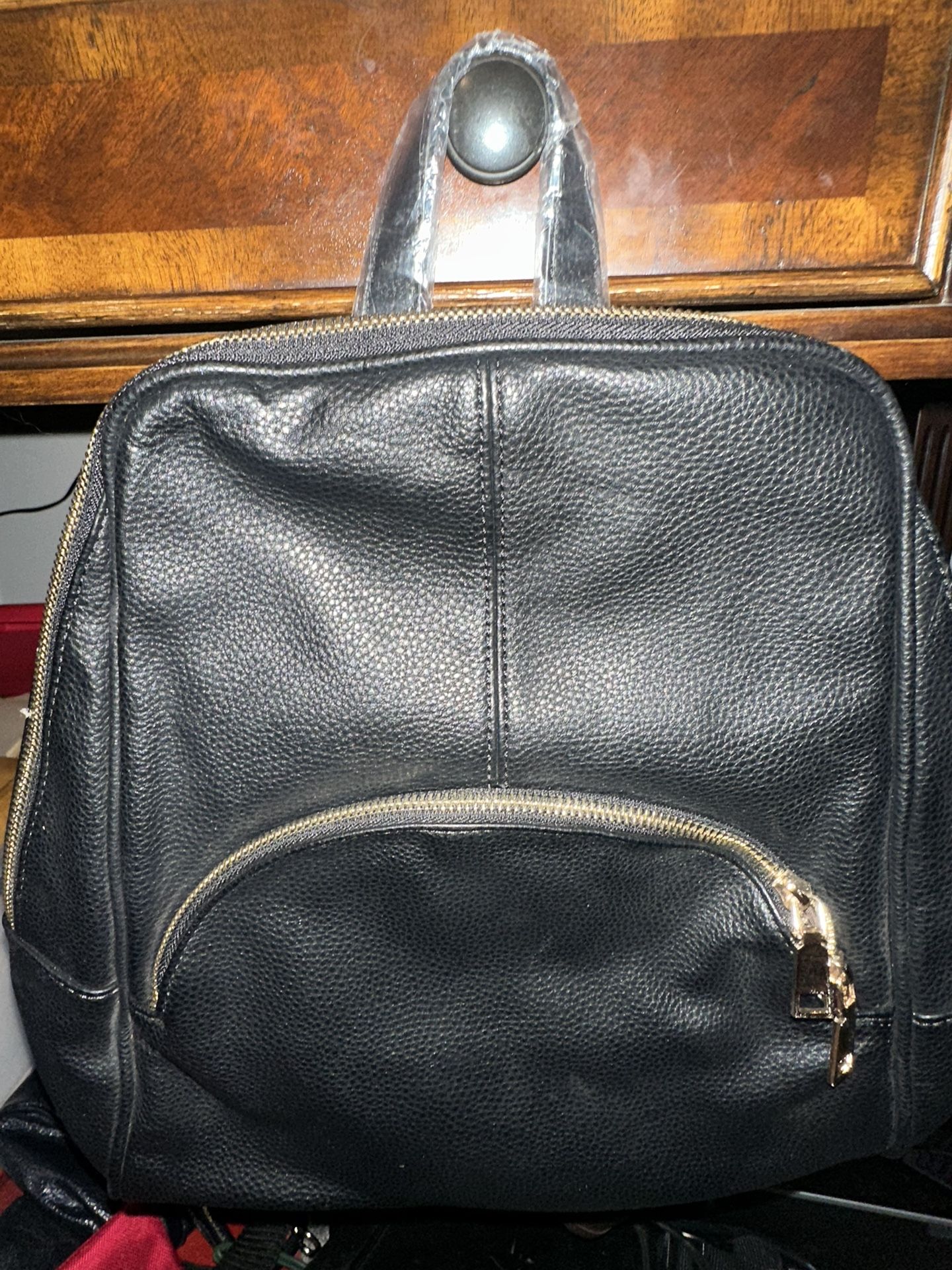 Back Pack Purse