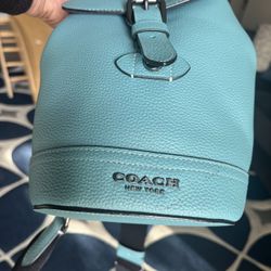 Coach Mini Sling Bag