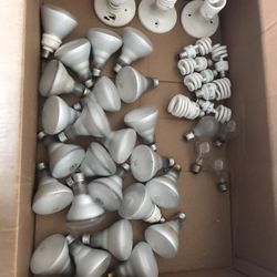 Bulbs 3 Different Kind, Total Of 38, $1 Each, All For $12