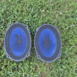 Factory Charger 6x9 Speakers