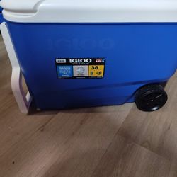 brand new blue and white IGLOO cooler