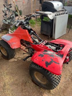 Suzuki quad