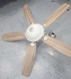 Fan for sale