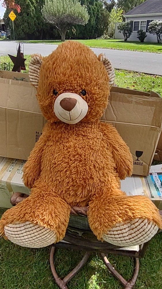 2 Ft Bear, Cute, Clean, Very Soft