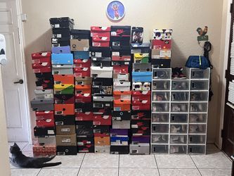 Sneaker Collection!