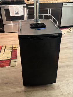 Edgestar Kegerator with CO2 tank + shell