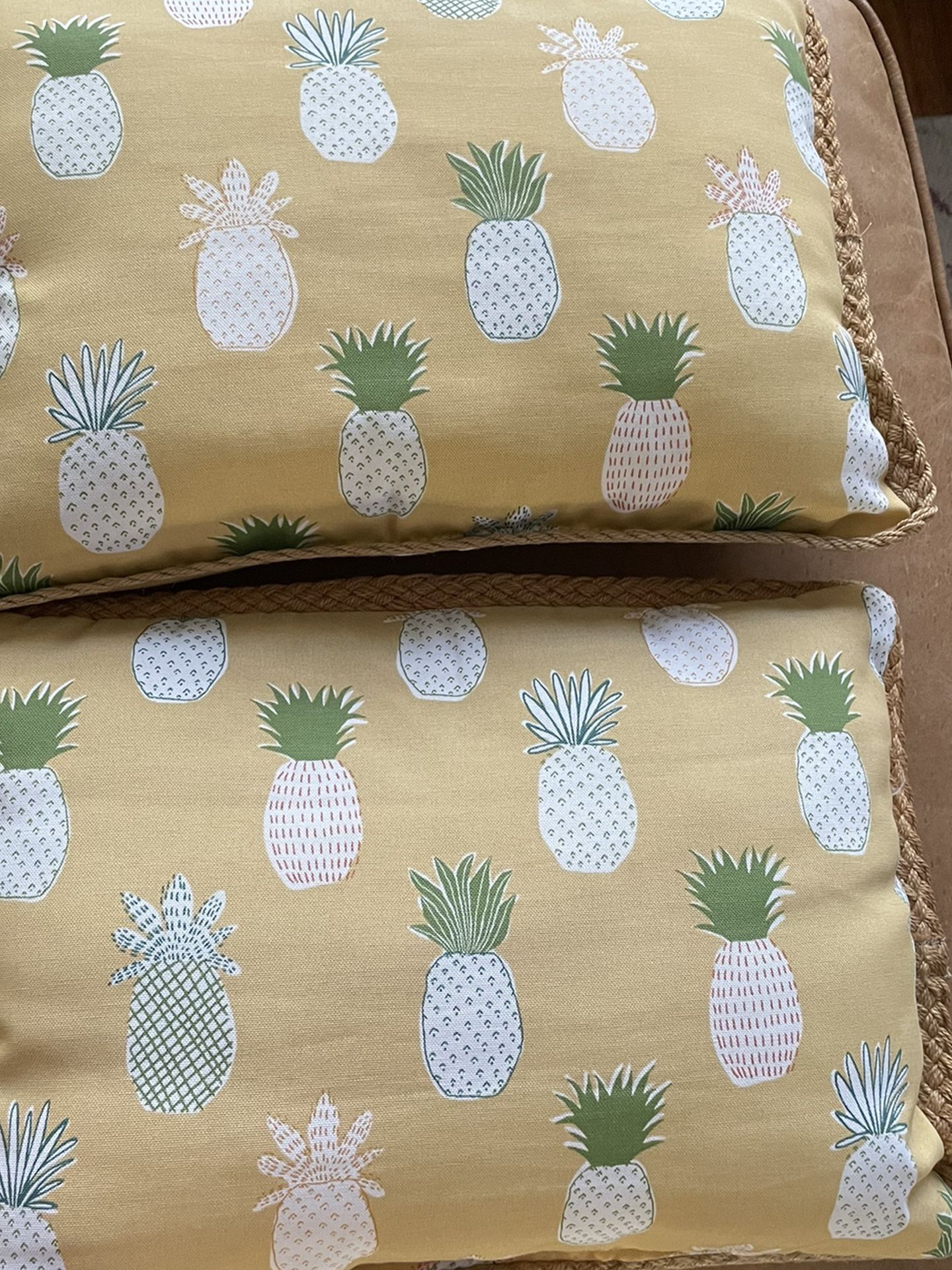 Set Of Two pineapple Pillows