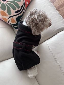Dog jacket