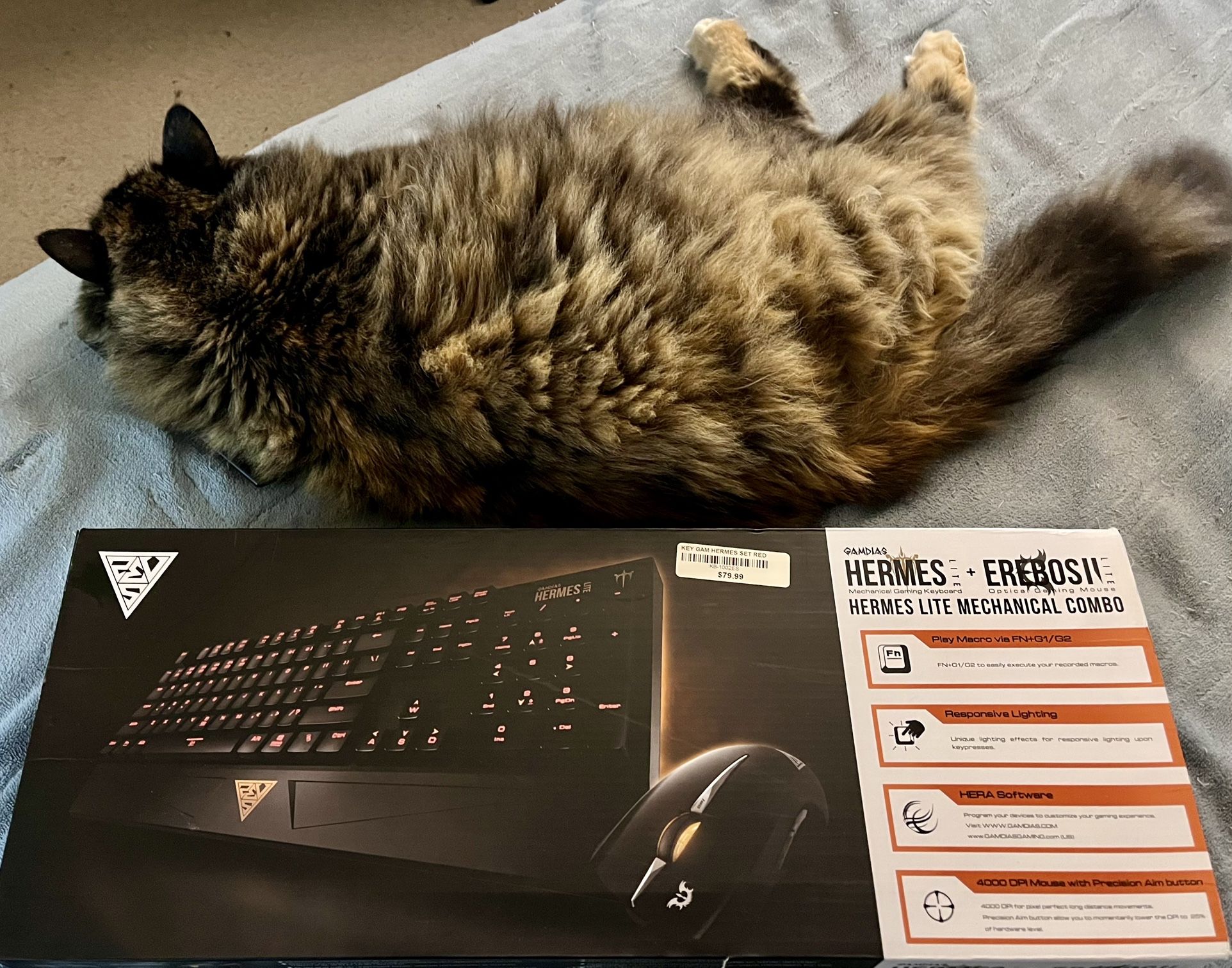 Gamdias Gaming Keyboard And Mouse Set
