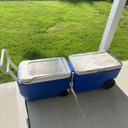Cooler On Wheels 