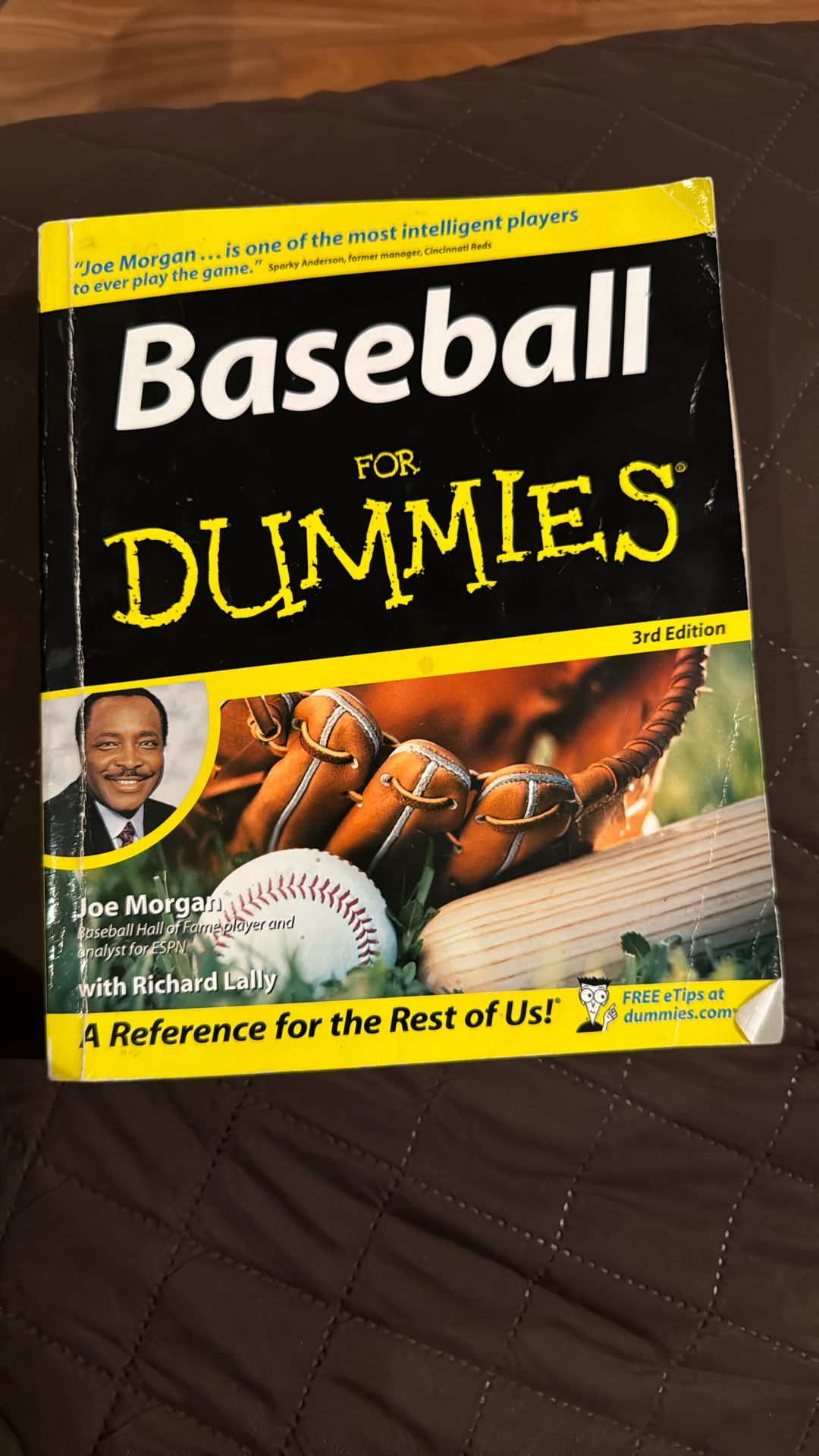 Baseball For Dummies Book