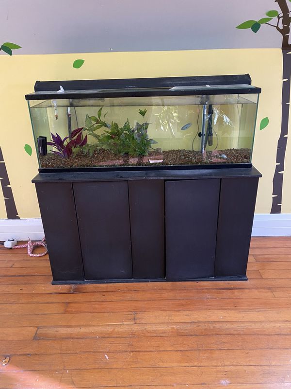Aquarium 50 gallons with canister filter and stand for Sale in Los