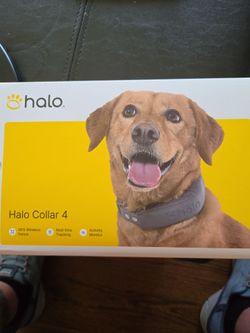 Halo collar 4
