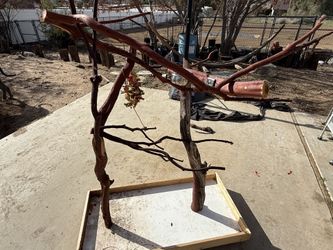 Manzanita Parrot Stand