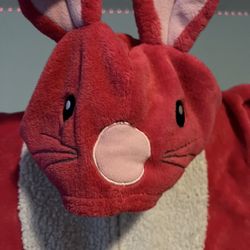 Bunny Onsie 