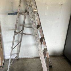 Ladder $25