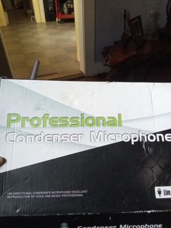 Professional condenser microphone