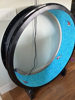 One Fast Cat - Cat Wheel